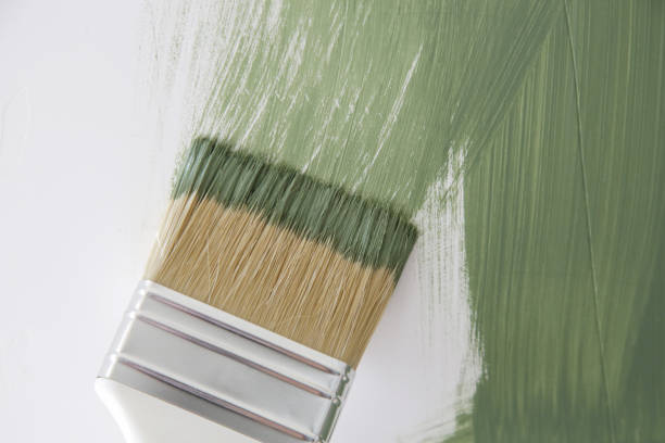 Best Real Estate Mold Inspection  in Jacksonvle, IL