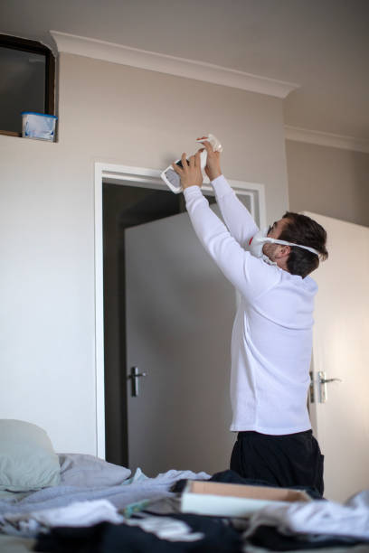 Mold Odor Removal Services in Jacksonville, IL