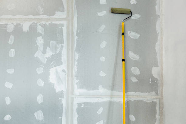 Best Water Damage & Mold Remediation  in Jacksonvle, IL