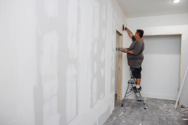 Best Mold Odor Removal Services  in Jacksonvle, IL