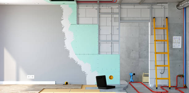Best Commercial Mold Inspection  in Jacksonvle, IL