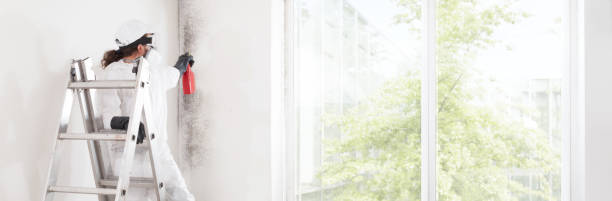 Best Forensic Mold Investigation  in Jacksonvle, IL