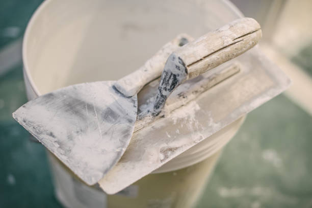 Best Commercial Mold Inspection  in Jacksonvle, IL